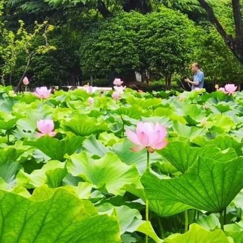 浦江必打卡！本地人私藏的十大景点，附隐藏玩法攻略