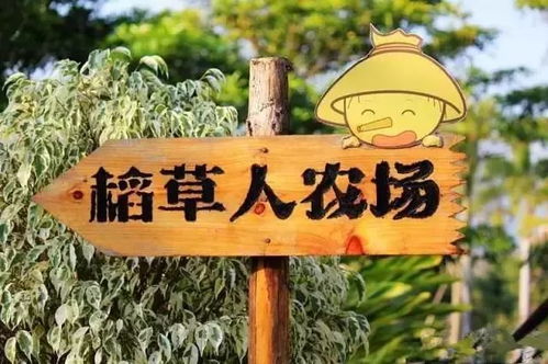 恩平必玩景点排行榜！本地人私藏的玩法攻略，看完这篇就够啦！