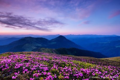 信阳山寺庙TOP10，登高祈福的绝美秘境