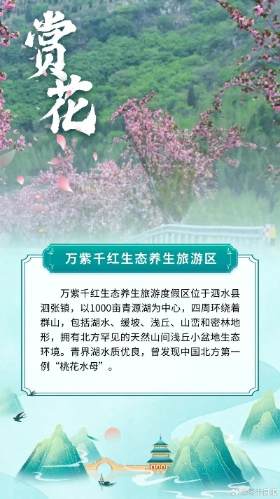 泗水必打卡！本地人私藏的十大景点+隐藏玩法全攻略