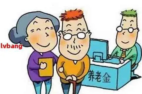 乡村养老保险退费全攻略，流程、注意事项和常见问题