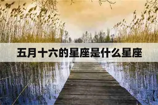 五月十六什么星座（五月十六日出生的人属于哪个星座）