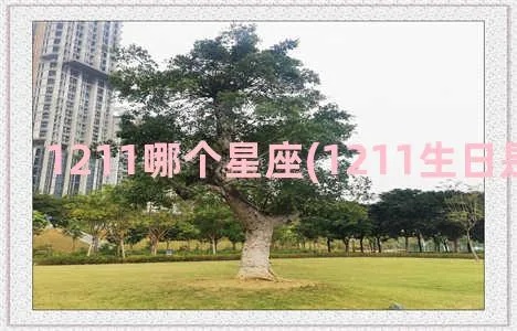 1120出生的人是什么星座,1120生日星座特点解析