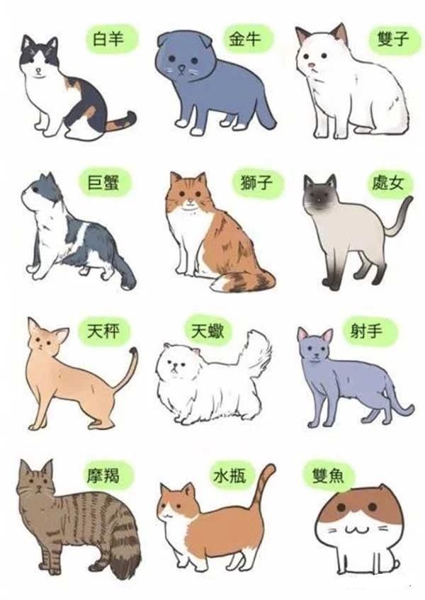 8月9号生日星座是什么,8月9号出生的人性格特点解析