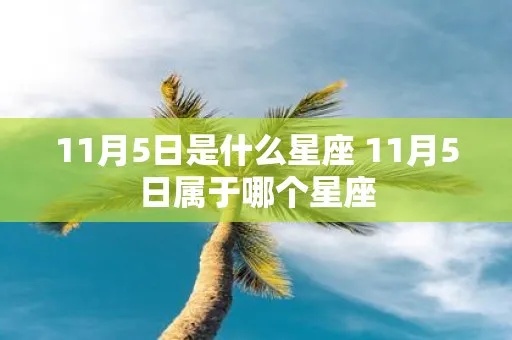 11月5日是什么星座生日，11月5日星座运势分析