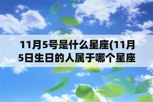 11月5日是什么星座生日，11月5日星座运势分析