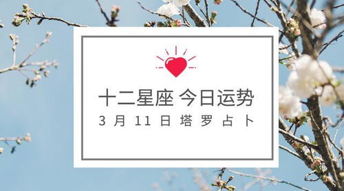 11月03是什么星座（11月03日生日星座分析）