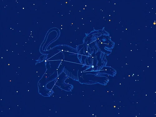 火象星座什么意思（探索火象星座的性格特点）