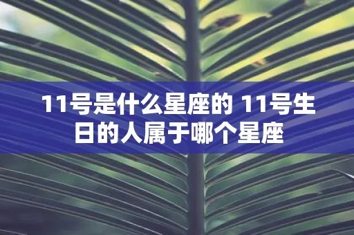 11月1日出生的人是什么星座,11月1日星座特点分析
