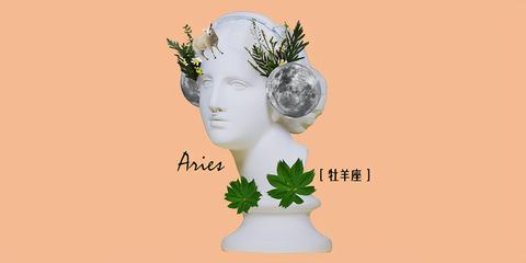 三月29是什么星座（三月29日生日的人属于什么星座）