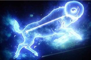 什么星座最适合保护摩羯女，摩羯女的星座守护者是哪个星座