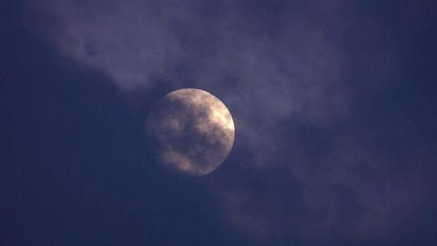 7月14日是什么星座（7月14日生日的人属于哪个星座）