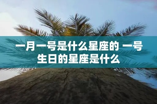 一月生日什么星座（一月份出生的人是什么星座）