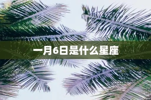 1月6日是什么星座的（1月6日出生的人属于什么星座）