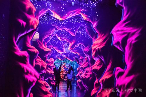 11月20日是什么星座（11月20日出生的人属于哪个星座）