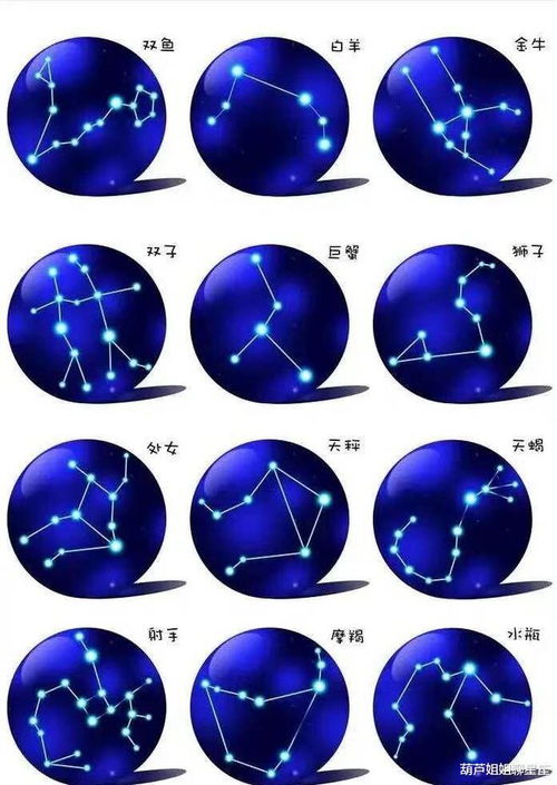 十二月十二号是什么星座，十二月十二号星座是什么？