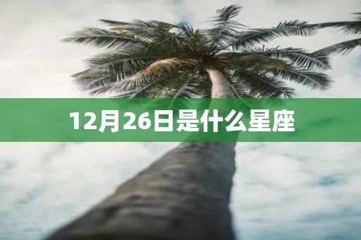 12月26号是什么星座（星座查询）