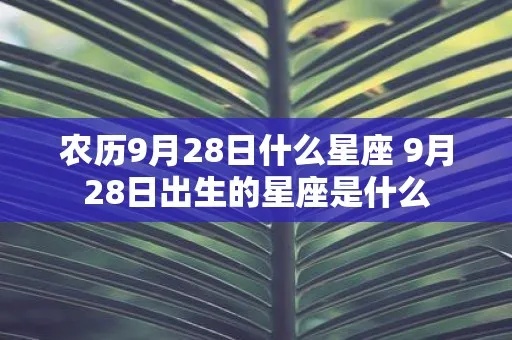农历九月二十八是什么星座（农历生日对应的星座查询）