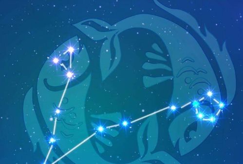 2月份出生是什么星座（水瓶座或双鱼座？）