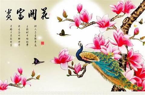 4月11日是什个星座的,4月11日星座特点解析
