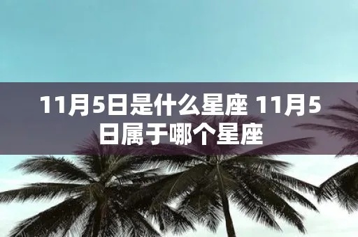 十一月五号是什么星座（解密11月5日的星座）
