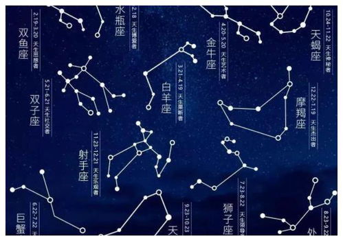 2月四号是什么星座（了解2月4日出生的人属于哪个星座）