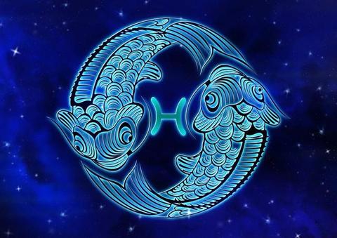 双鱼女最配哪个星座男，双鱼女和其他星座的恋爱运势