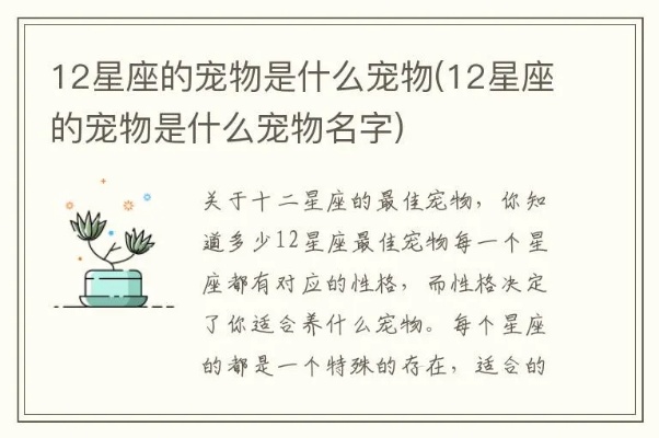 12星座适合养什么宠物,星座宠物合适指南
