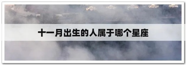 十一月出生的人是什么星座（十一月份的星座解析）