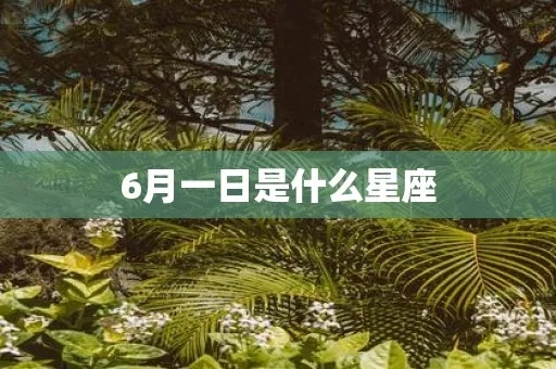 6月1号生日的星座有哪些，6月1号星座性格特点解析