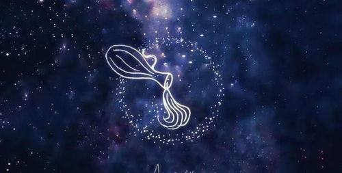 狮子座和什么星座最配对（十二星座配对大揭秘）