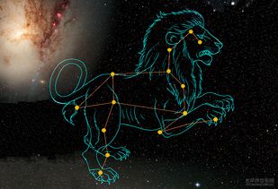 狮子座和什么星座最配对（十二星座配对大揭秘）