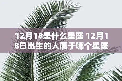 12.18生日的人是什么星座,12.18星座性格特点及运势分析