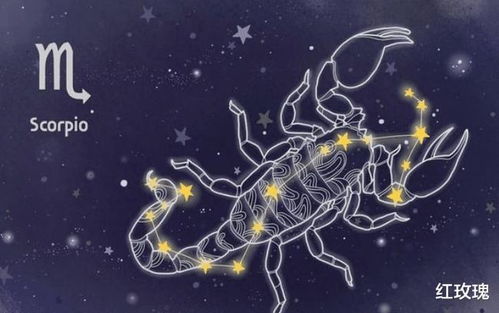 巨蟹座如何吸引其他星座,巨蟹座的魅力点分析