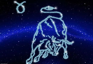 金牛男最配什么星座女（星座配对解析）