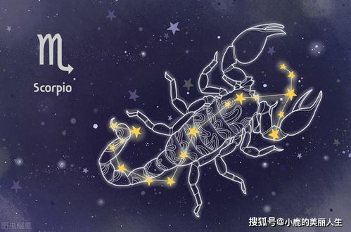 巨蟹座最适合与哪个星座恋爱，巨蟹座恋爱运势分析