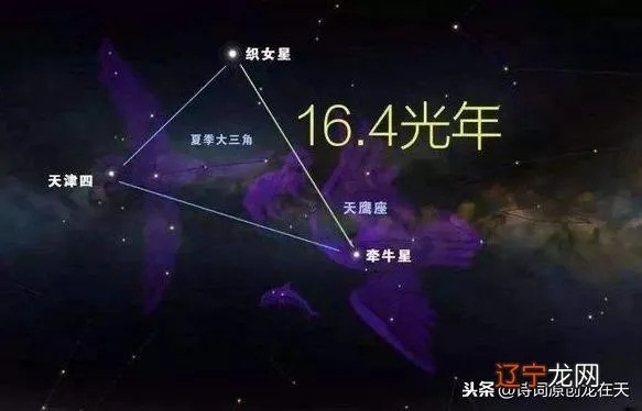 牛郎是什么星座，牛郎座性格特点解析