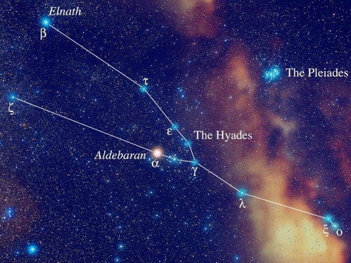 8月11是什么星座（8月11日出生的人属于什么星座）