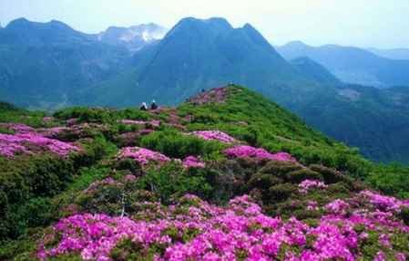 中秋节是什么星座（揭秘中秋节的星座秘密）