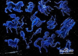 十二月份是什么星座的（十二星座概述）