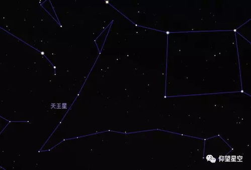 7月27日是什个星座,7月27日生日星座特点解析