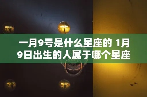 1.9出生的人是什么星座,1.9生日的人性格特点解析