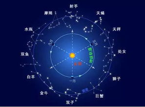 冬至是什么星座（冬至的星座特点解析）