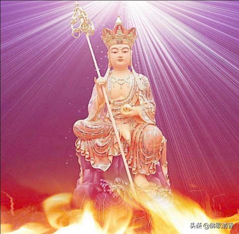 11月初3是什么星座（星座查询及解析）