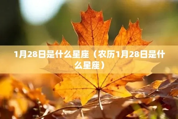 农历1月28日是什么星座，农历1月28日有什么特点