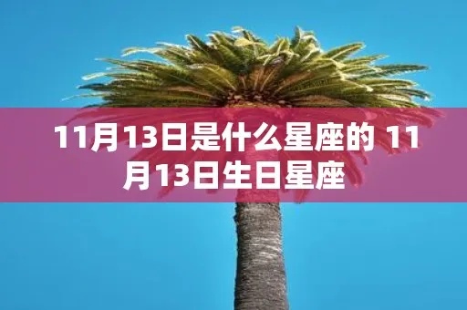 11月13日是什么星座的？11月13日星座特点解析