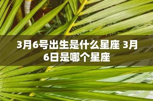 3月6日什么星座（3月6日出生的人属于哪个星座）