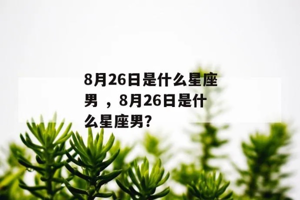 8月26号是什么星座的，8月26日生日星座特点解析