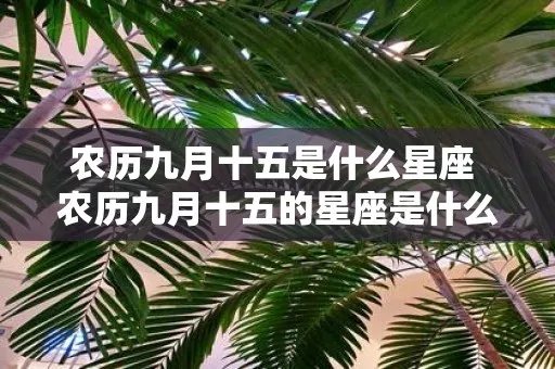 九月十五是什么星座的（解密九月十五的星座特征）