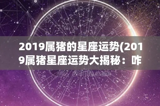 猪年是什么星座（猪年属相及对应星座）